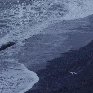 女生把疾子放在放眼里不能
