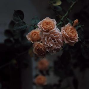 女生把疾子放在放眼里不能
